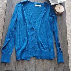 Blue Cardigan